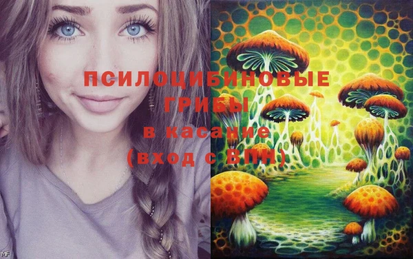 стафф Липки