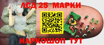 шишки Пушкино