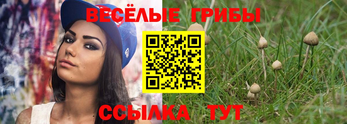 Галлюциногенные грибы мицелий  Псилоцибиновые грибы Cubensis  Отрадный  Вход с VPN 