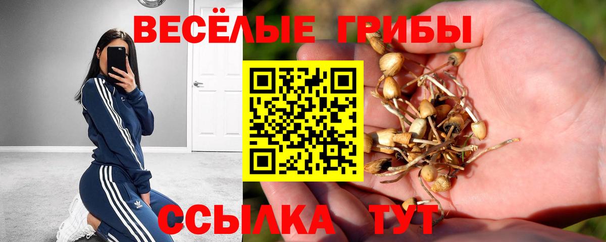 Псилоцибиновые грибы Cubensis Отрадный